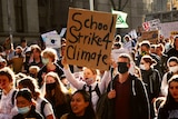 A person carrying a sign that says SchoolStrike4Climate in amongst a crowd of protesters.