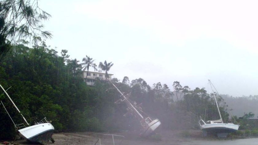 Boats washed ashore at Shute Harbour.