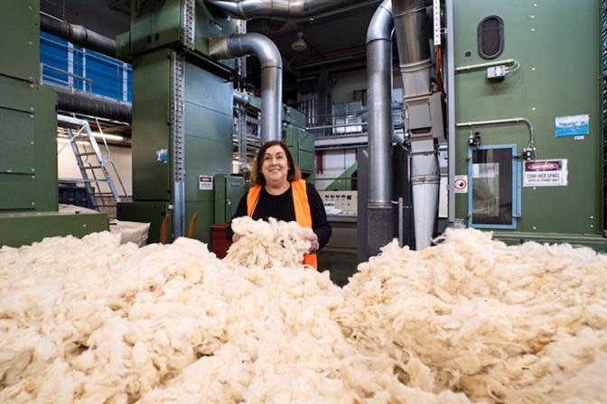 Photo of a woman with sheared wool