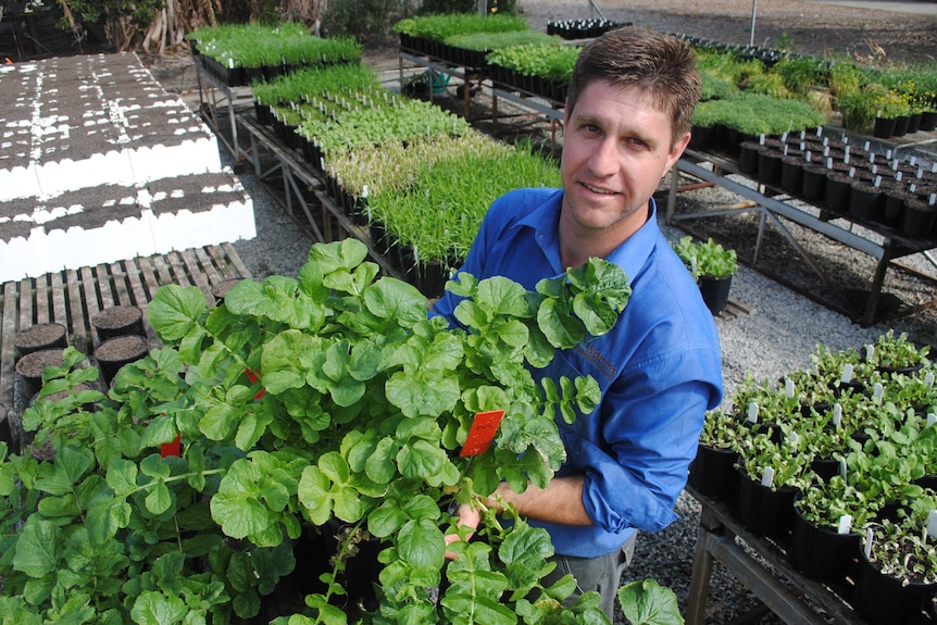 Glyphosate resistant radish found in WA