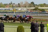 Flu scare: Racing has been suspended in four states today