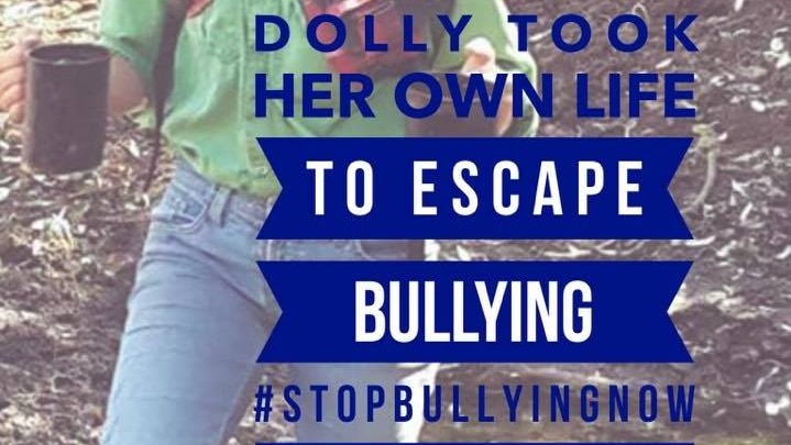 The Facebook profile picture used by Dolly Everett's father to raise awareness of an anti-bullying campaign.