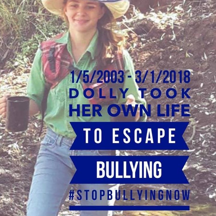 The Facebook profile picture used by Dolly Everett's father to raise awareness of an anti-bullying campaign.