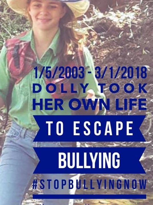 The Facebook profile picture used by Dolly Everett's father to raise awareness of an anti-bullying campaign.