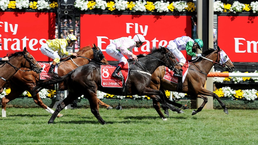 Prince Of Penzance wins the Melbourne Cup
