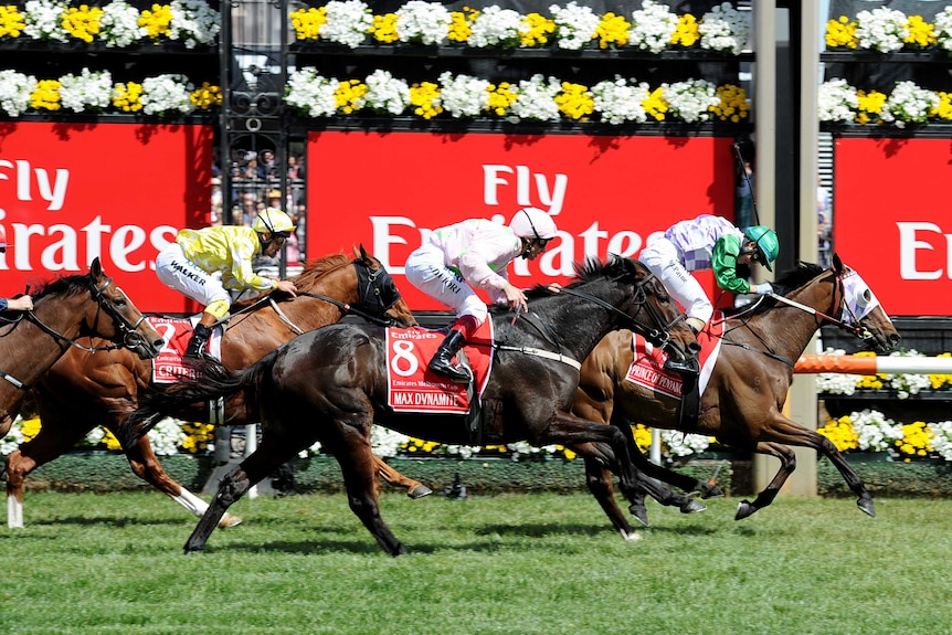 Prince Of Penzance wins the Melbourne Cup