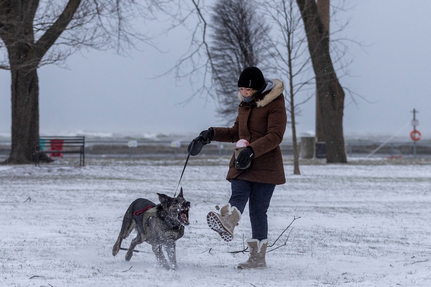 A woman in the snow with a dog