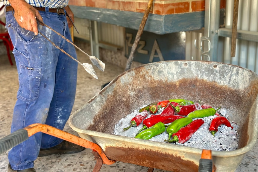 A wheelbarrow full of hot coals and chilies -- with a man's hand and tongs tending to it