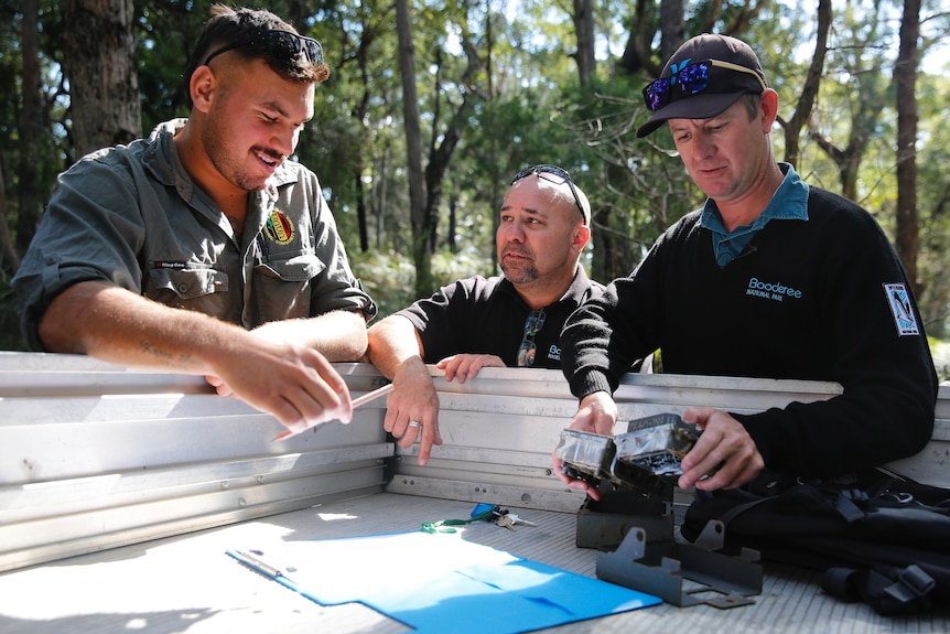 Three men stand leaning on the back of a ute tray looking at equipment and talking with a forest in the background