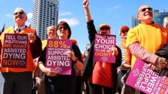 A group of people holding pro-euthanasia placards stand in bright sunshine.