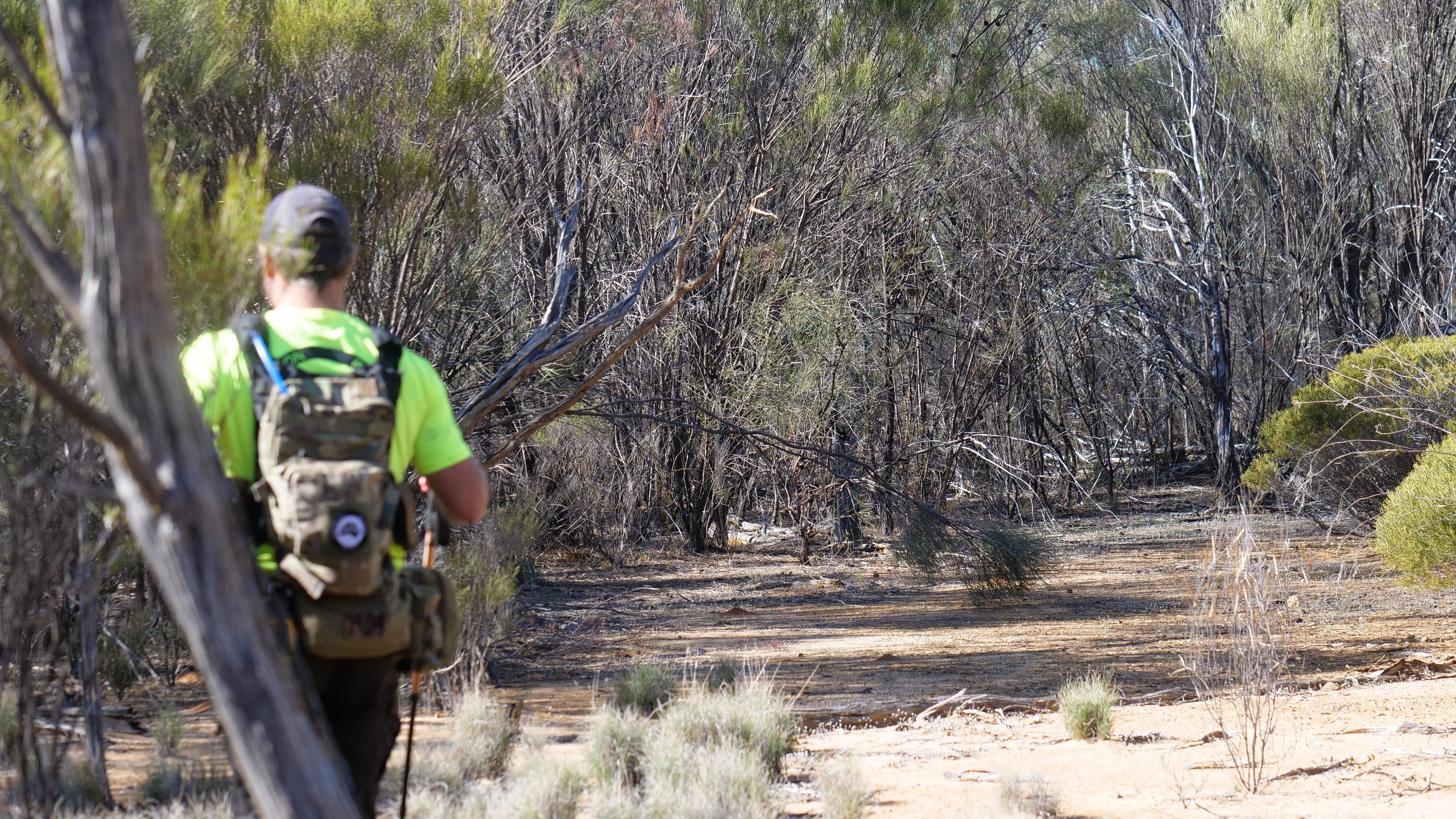 Parte traseira de um homem com camisa amarela de alta visibilidade e mochila caminhando em direção a um arbusto denso