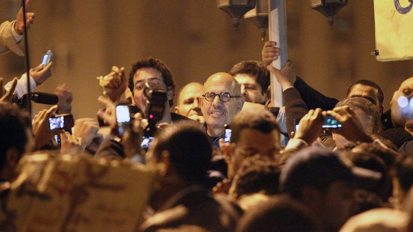 leading Egyptian dissident Mohamed ElBaradei attends a demonstration in al-Tahrir square in central Cairo.