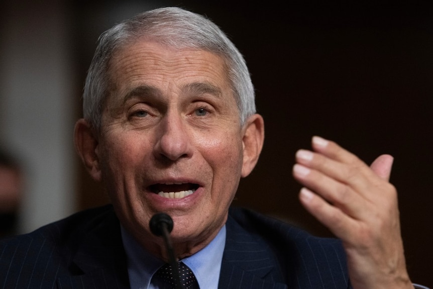 Dr Anthony Fauci listens during a Senate Senate Health, Education, Labor, and Pensions Committee Hearing