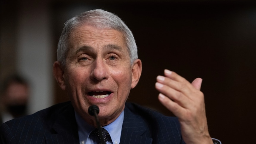 Dr Anthony Fauci listens during a Senate Senate Health, Education, Labor, and Pensions Committee Hearing