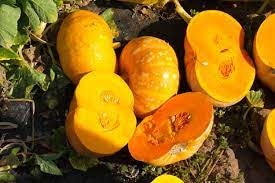 A group of five halves of bright orange pumpkins on the ground, with some vegetable leaves visible.