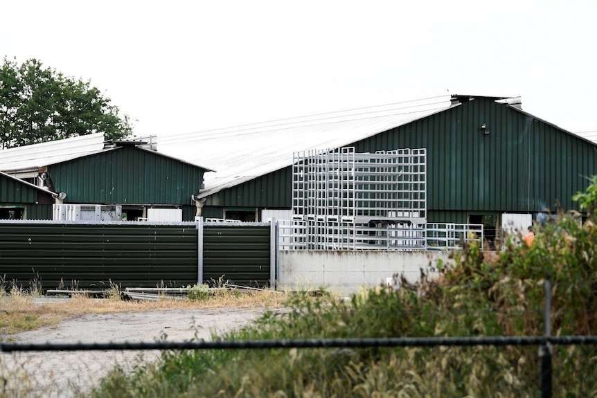 A farm building painted green.