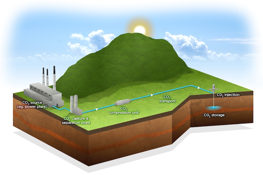 Infographic of how carbon capture works