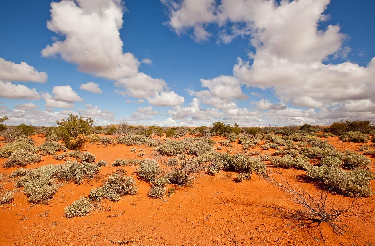 The epic story of the Maralinga Tjarutja and poetry in isolation