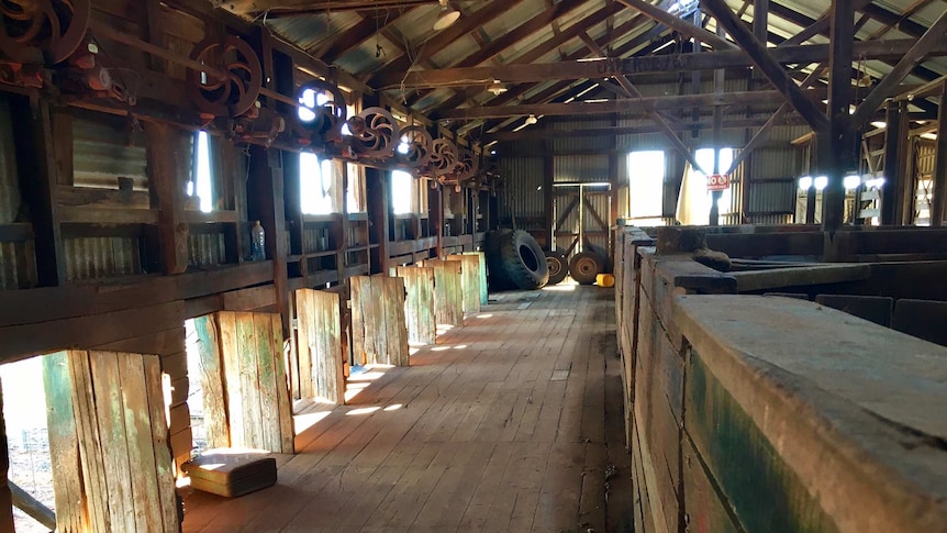 An unused shearing shed on a sheep station.