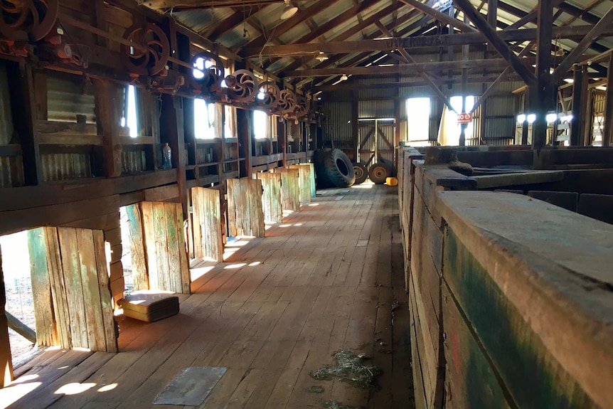 An unused shearing shed on a sheep station.
