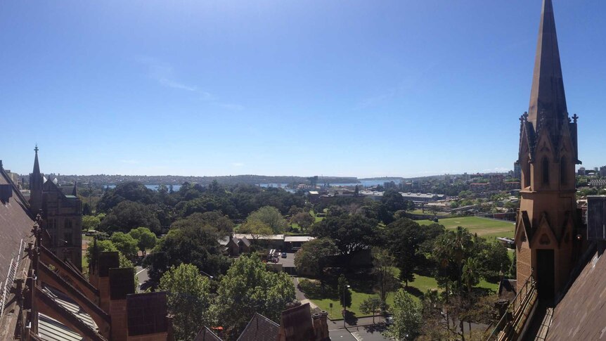 Vista from the Bell Tower of St. Mary's Cathedral, Sydney