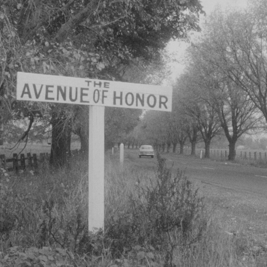 Avenue of Honour at Bacchus Marsh