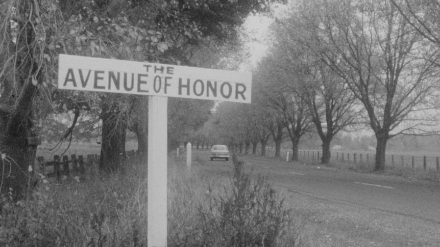 Avenue of Honour at Bacchus Marsh