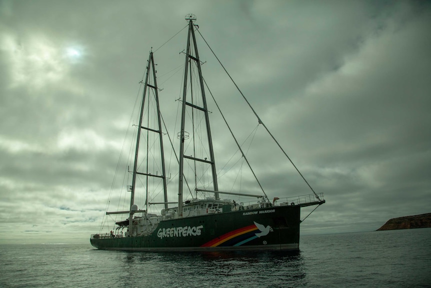 Greenpeace's Rainbow Warrior in the Great Australian Bight.