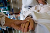 An intensive care patient is comforted at the Royal North Shore Hospital.