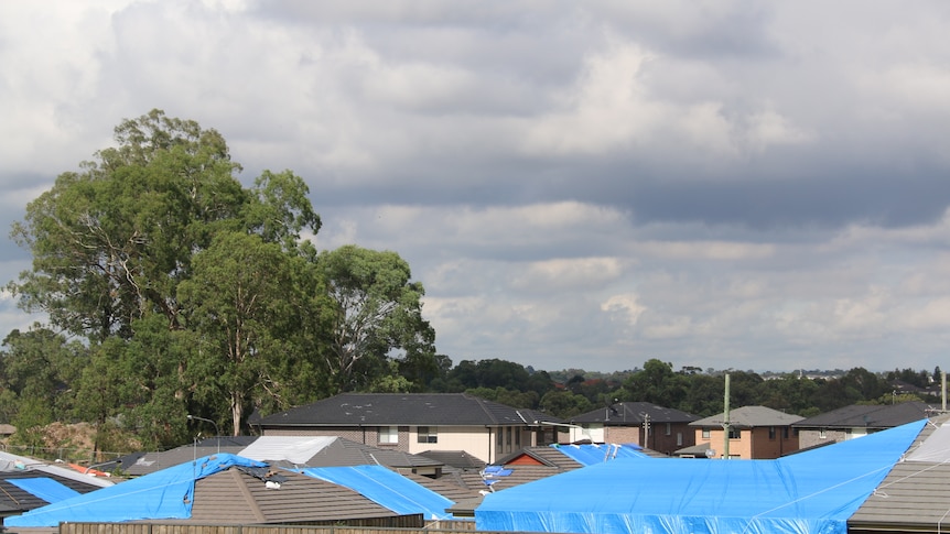 roof tops of houses damaged by hail covered in tarps across the Hills District