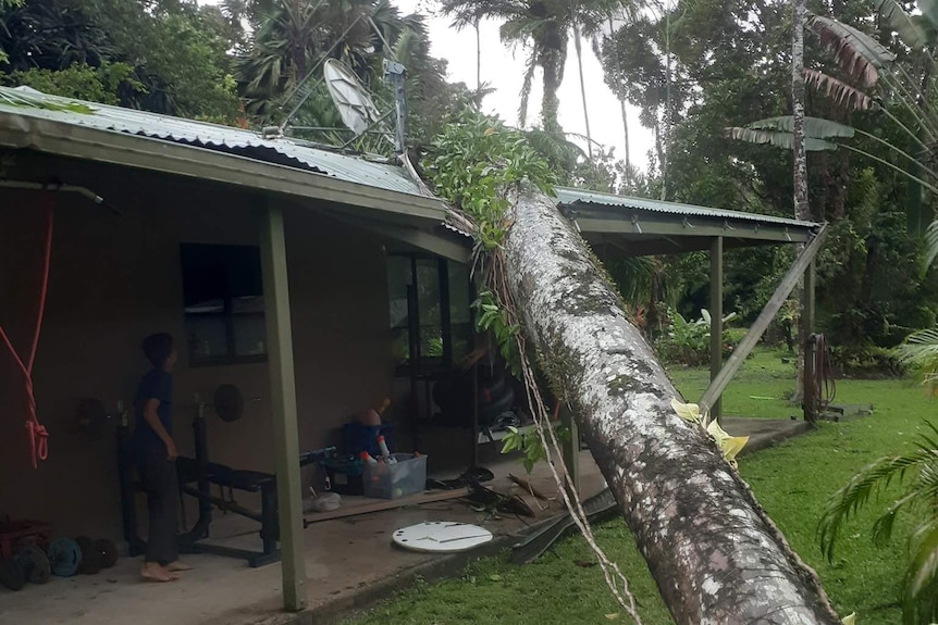 A large fallen tree damages the roof of a home.