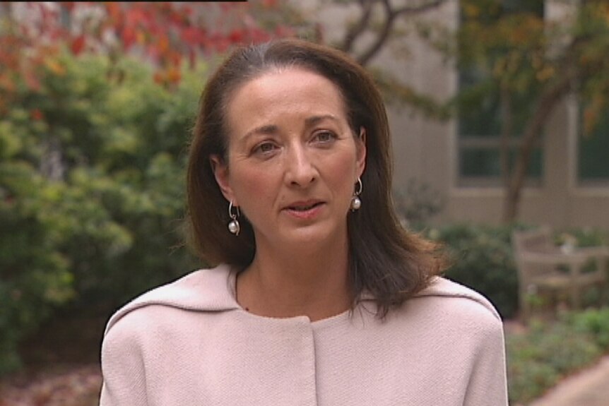 Labor MP for Canberra Gai Brodtmann