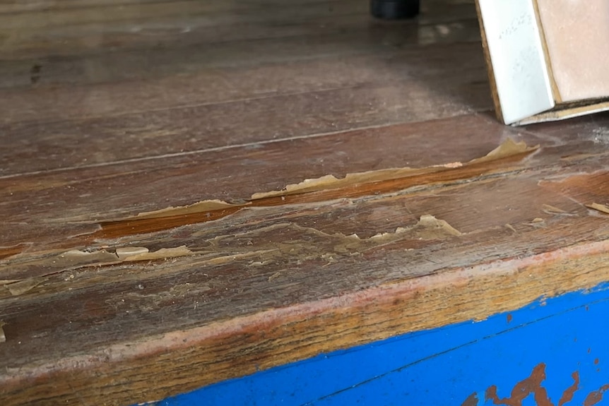 Wooden floorboards with a peeling coating.