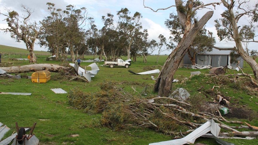 Debris and uprooted trees lie scattered on a property after a storm near Kingston