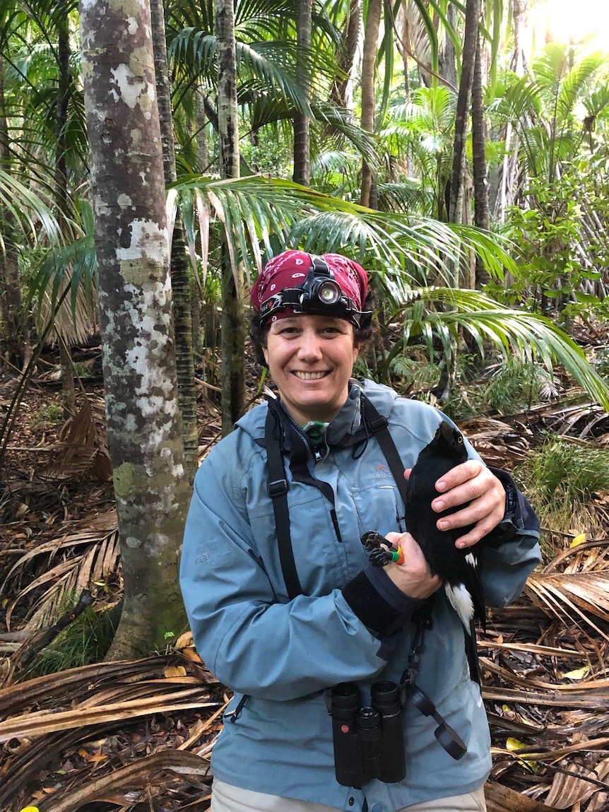A woman standing in a rainforest, holding a currawong.