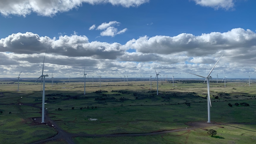 Tilt Renewables Dundonnell wind farm day