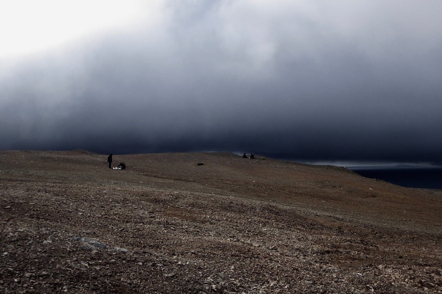 The tundra in the Antarctic stretches as far as the eye can see