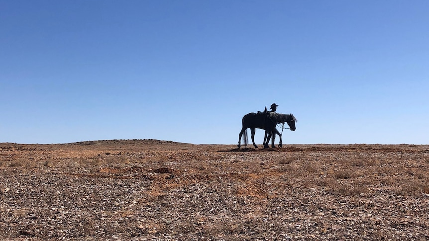 a metallic man and horse in the barren landscape