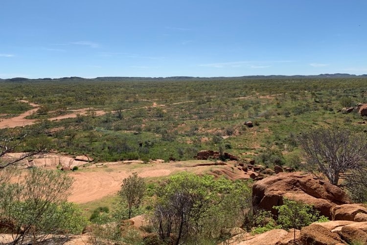 A photo taken looking out at scrubby bushland with large boulders.