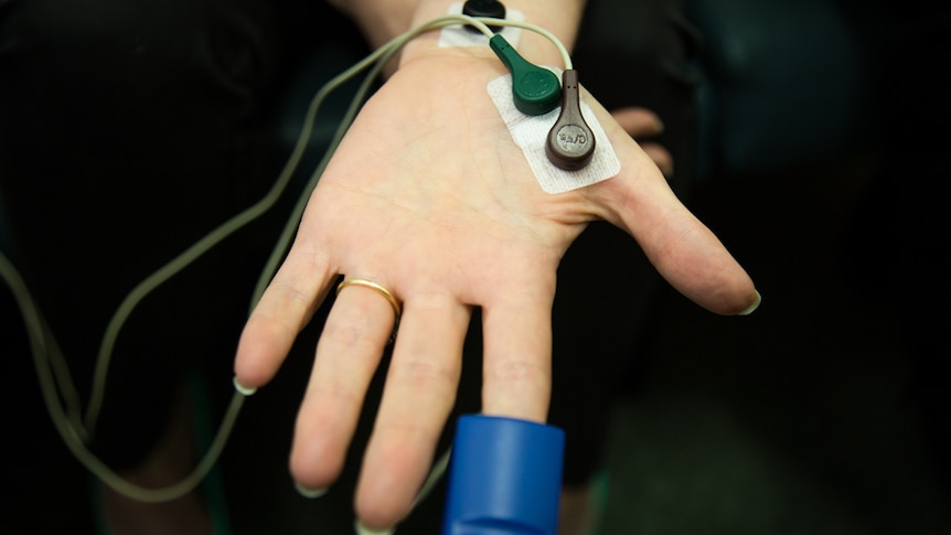 A pulse oximeter is attached to the participant's hand to measure heart rate, blood oxygen percentage and skin sweat levels.