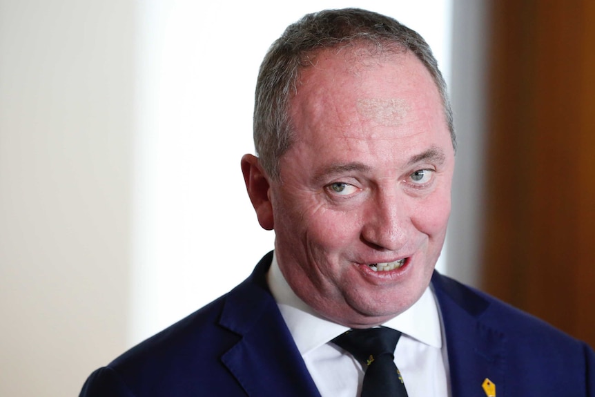 Barnaby Joyce looks up mid speech in Parliament House