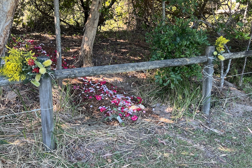native flowers decorating the site where human remains where discovered in Coffs Harbour 