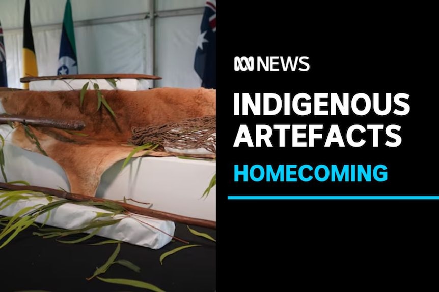 Indigenous Artefacts, Homecoming: A kangaroo skin and other artefacts sit on a white plinth.