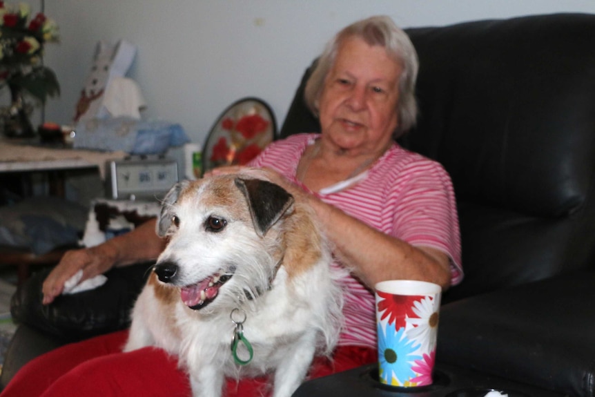 An older woman sits on a couch with a white and brown Jack Russell in her lap.