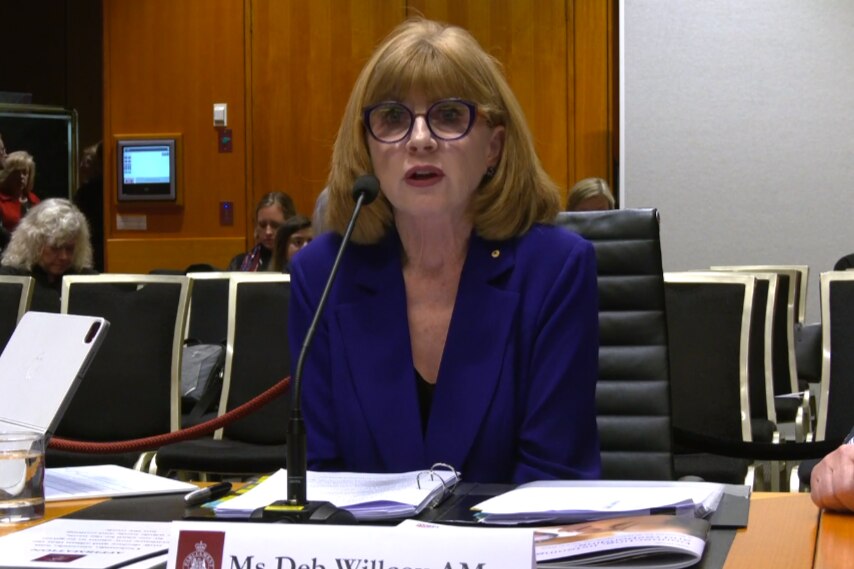 a woman wearing glasses with long hair and a fringe speaking at an inquiry about birth trauma