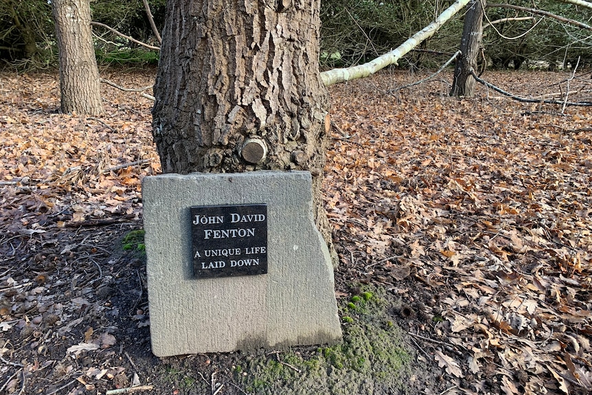 Photo of a grave adjacent a tree trunk