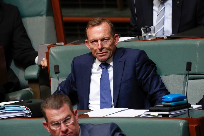 Tony Abbott concentrates during Question Time.