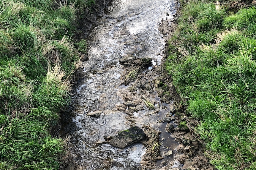 A narrow creek filled with dark viscous effluent.
