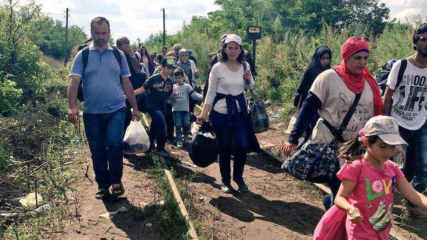 Refugees stream into Hungary near Roszke from Serbia.