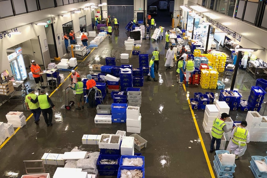 A view of the Melbourne Seafood Centre.